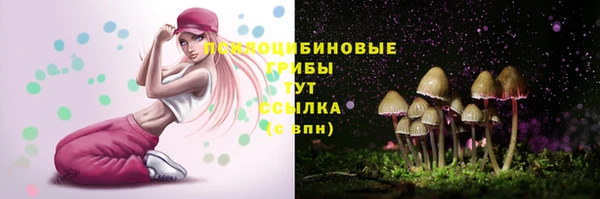 гидра Абаза