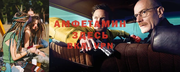 гидра Абаза