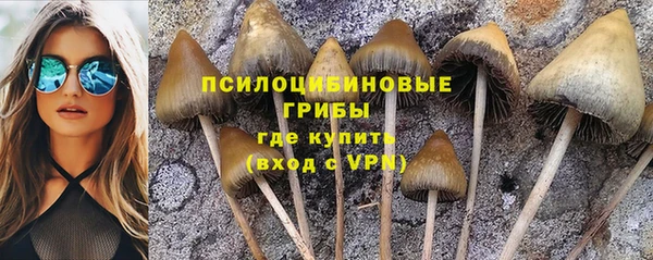 таблы Абинск