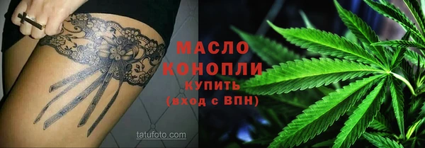 гидра Абаза